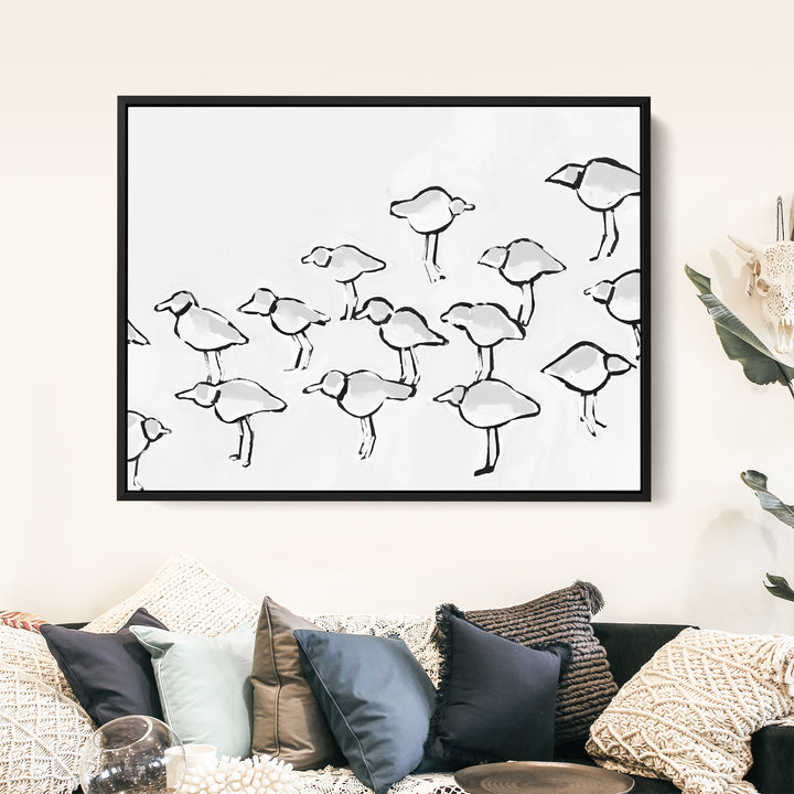 Black & White Piping Plover - Jetty Home