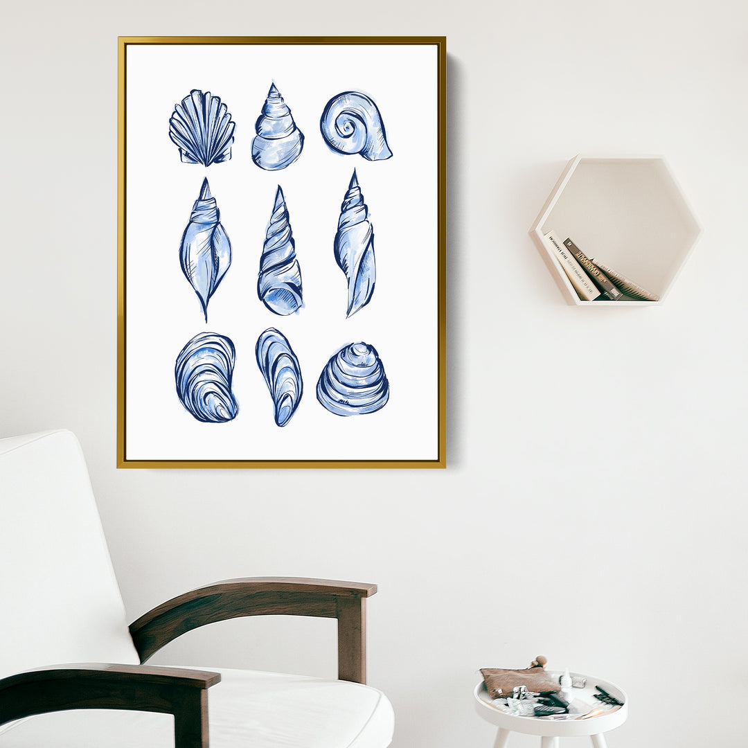 Blue Shell Study - Jetty Home