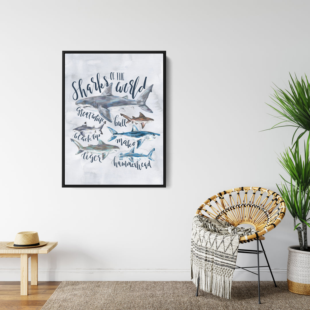 Sharks of the World - Jetty Home