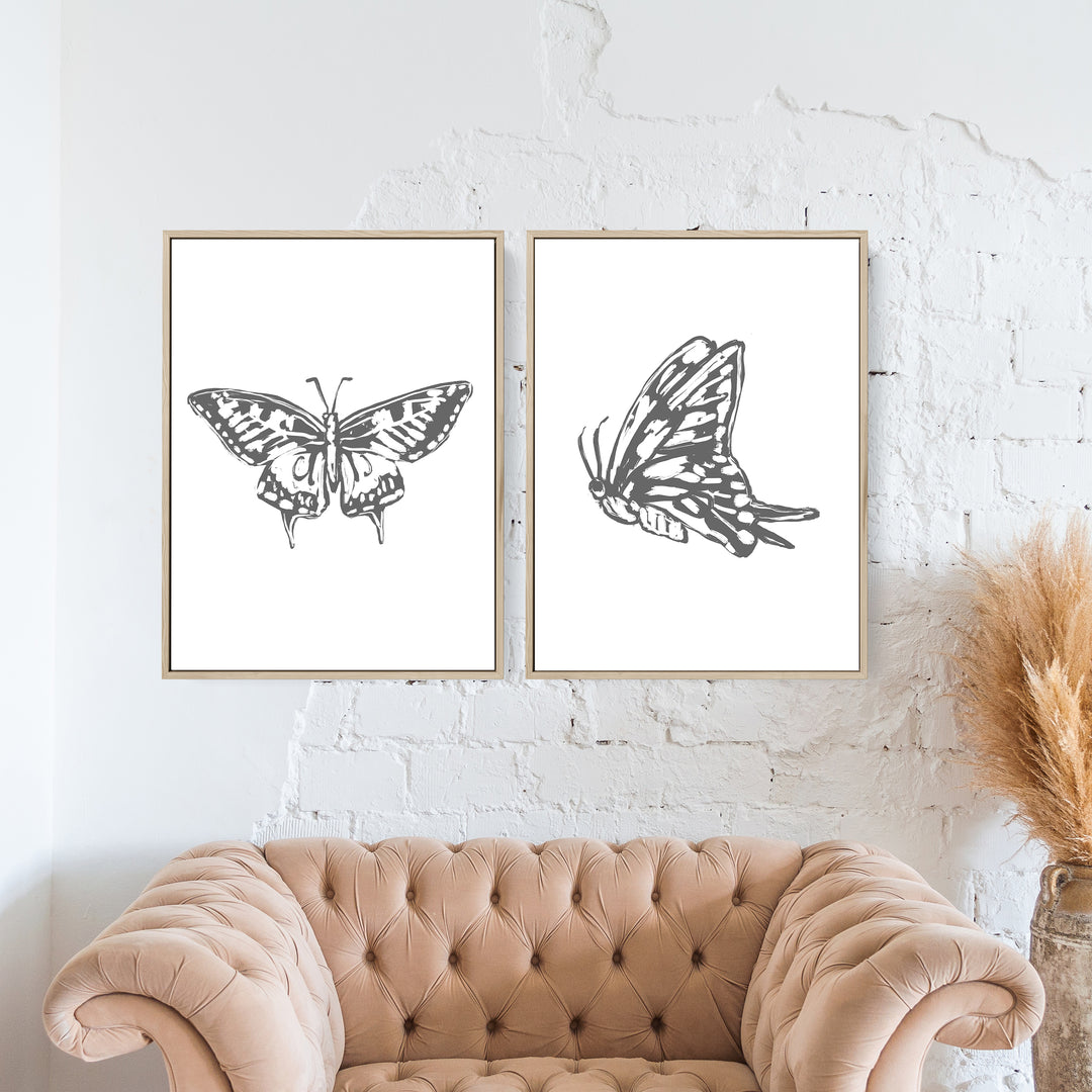 Butterfly Study - Set of 2 - Jetty Home
