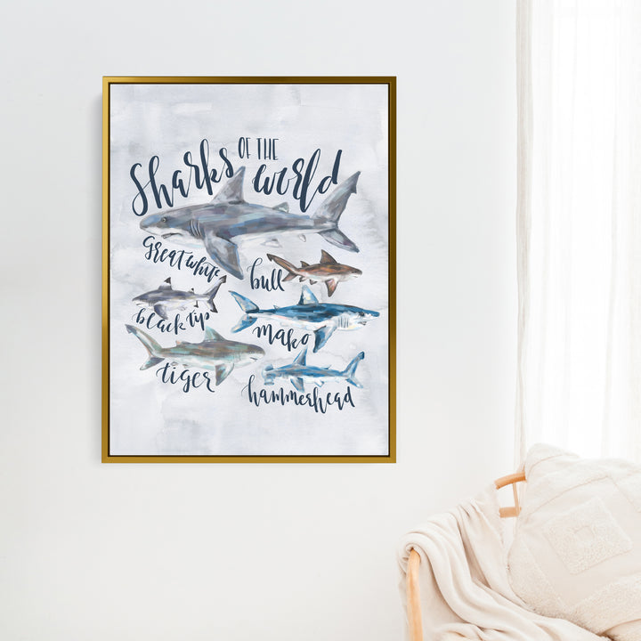 Sharks of the World - Jetty Home