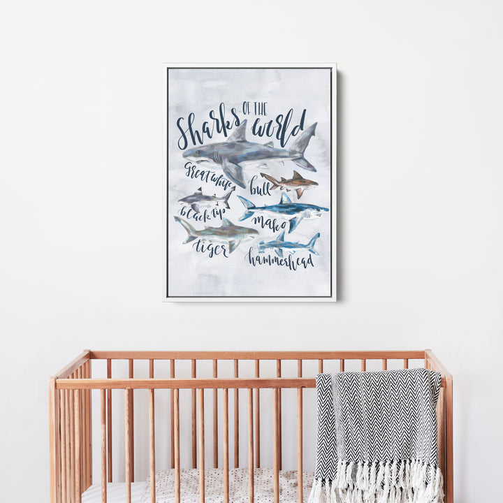 Sharks of the World - Jetty Home