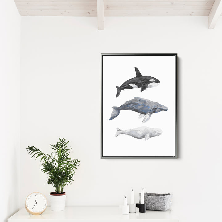 Whale Trio Watercolor - Jetty Home