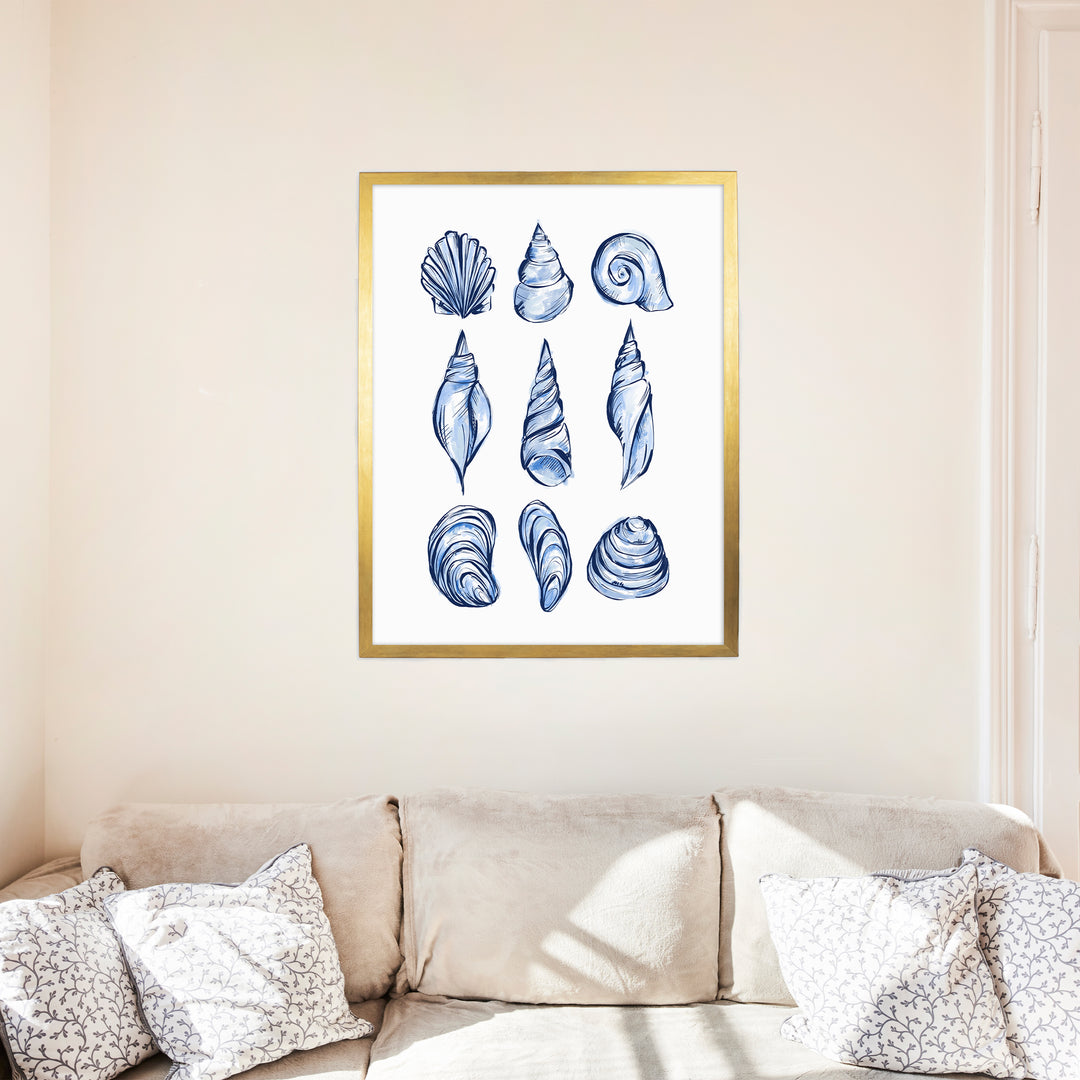 Blue Shell Study - Jetty Home