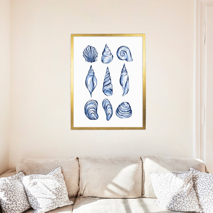 Blue Shell Study - Jetty Home