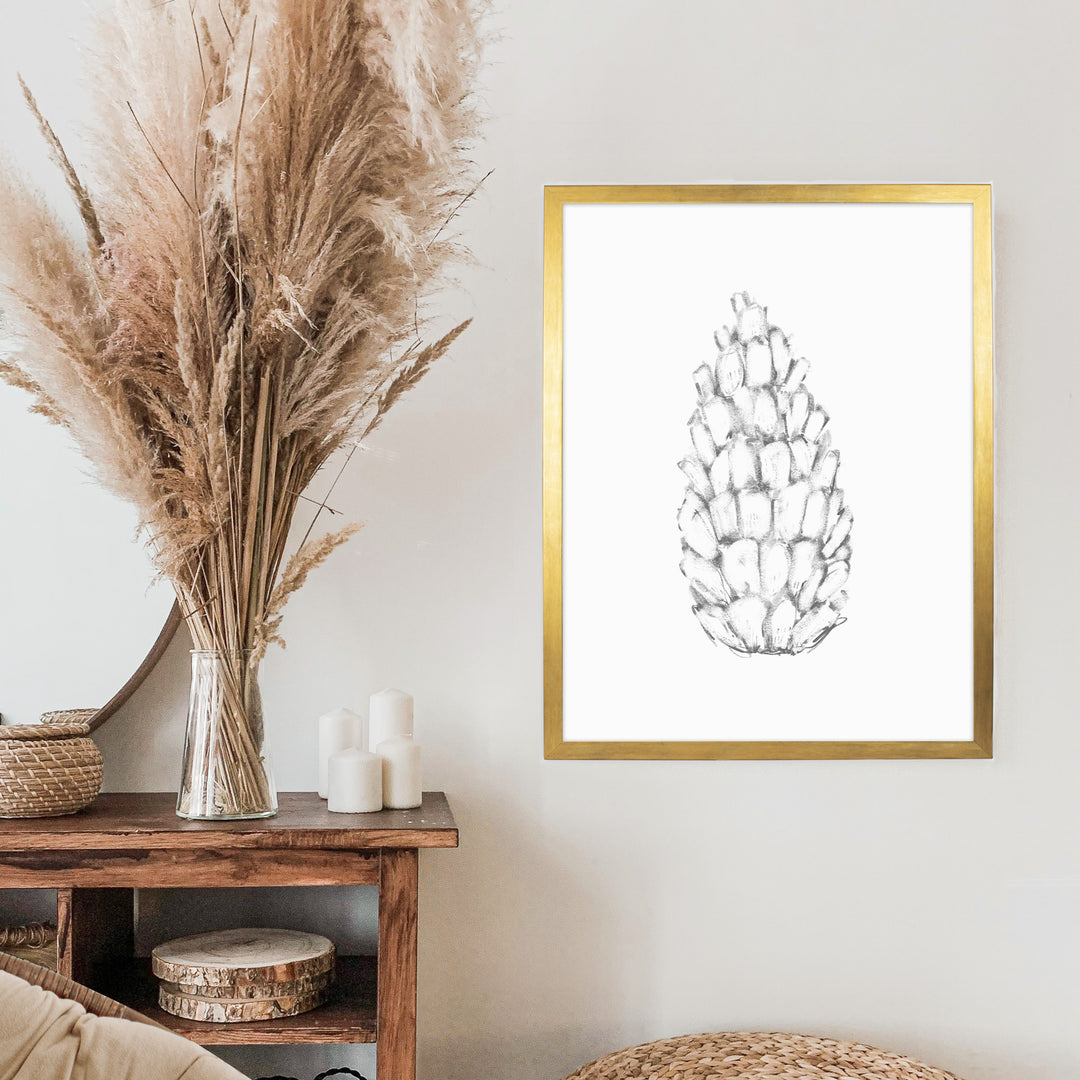 Pine Cone Illustration