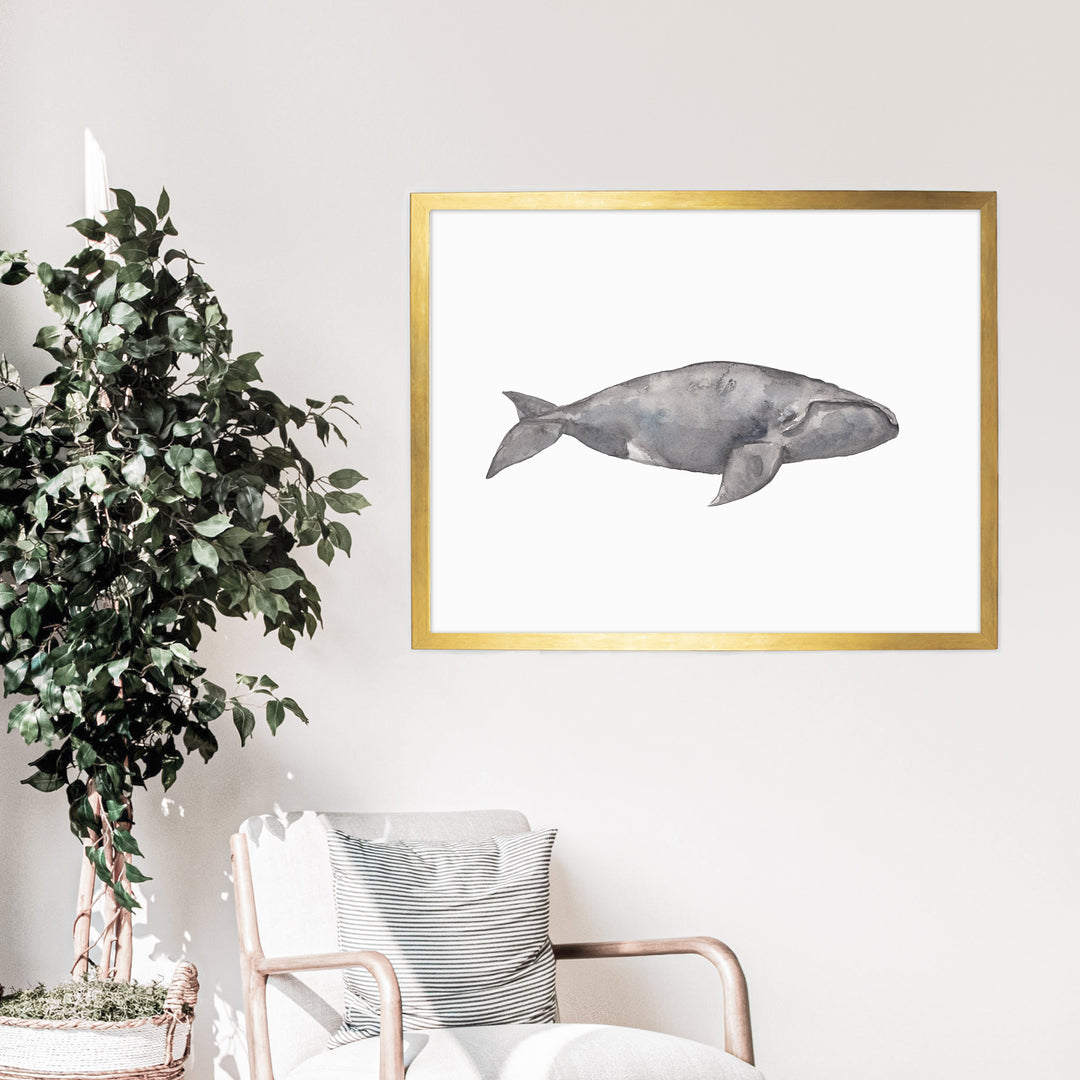 Watercolor Right Whale Painting - Jetty Home