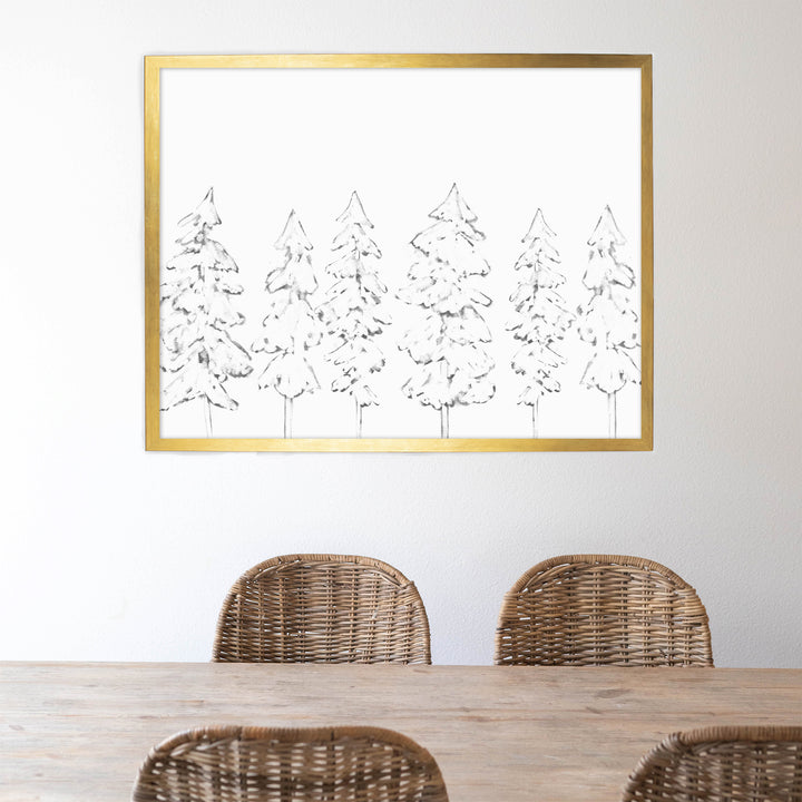 Evergreen Tree Illustration