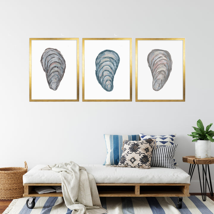 Drifted Mussels Triptych - Set of 3