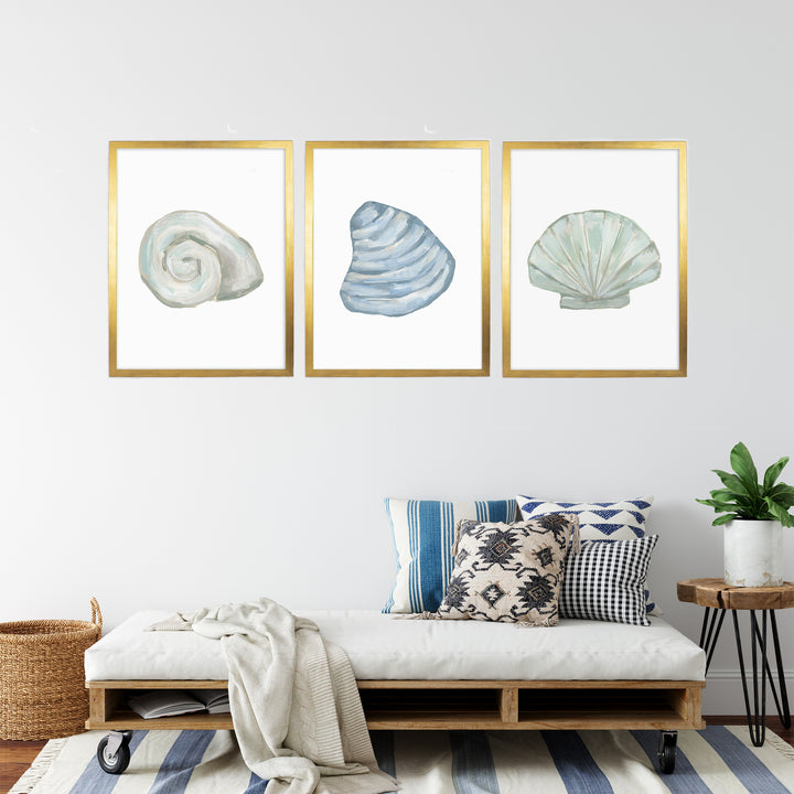 Seashell Trio, No. 2 - Set of 3