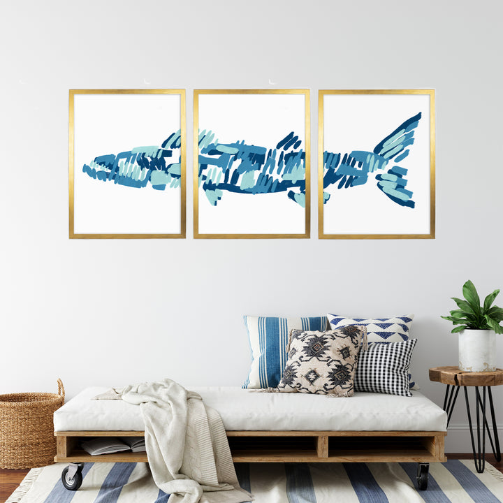 The Barracuda Triptych - Set of 3