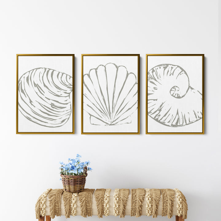 Minimalist Seashell Trio, No. 2 - Set of 3