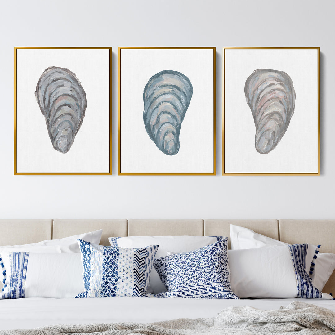 Drifted Mussels Triptych - Set of 3