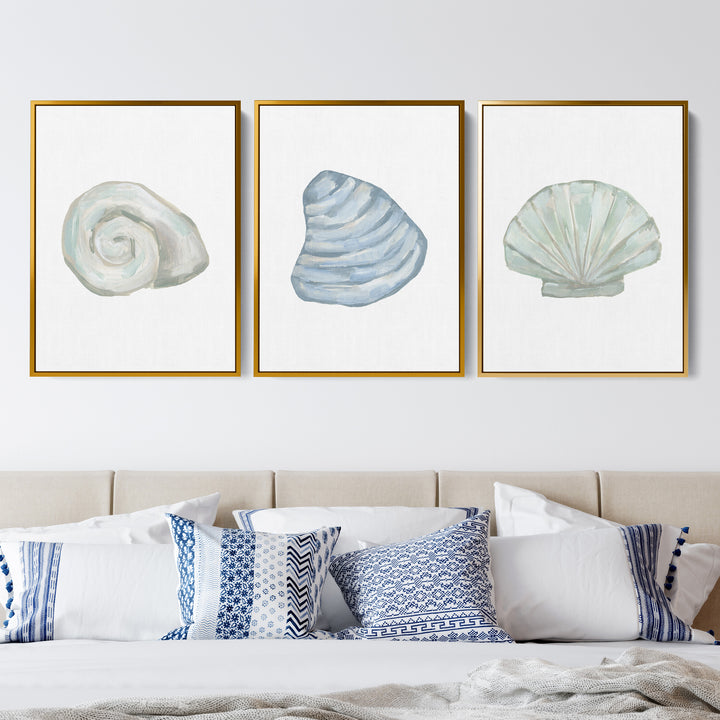 Seashell Trio, No. 2 - Set of 3