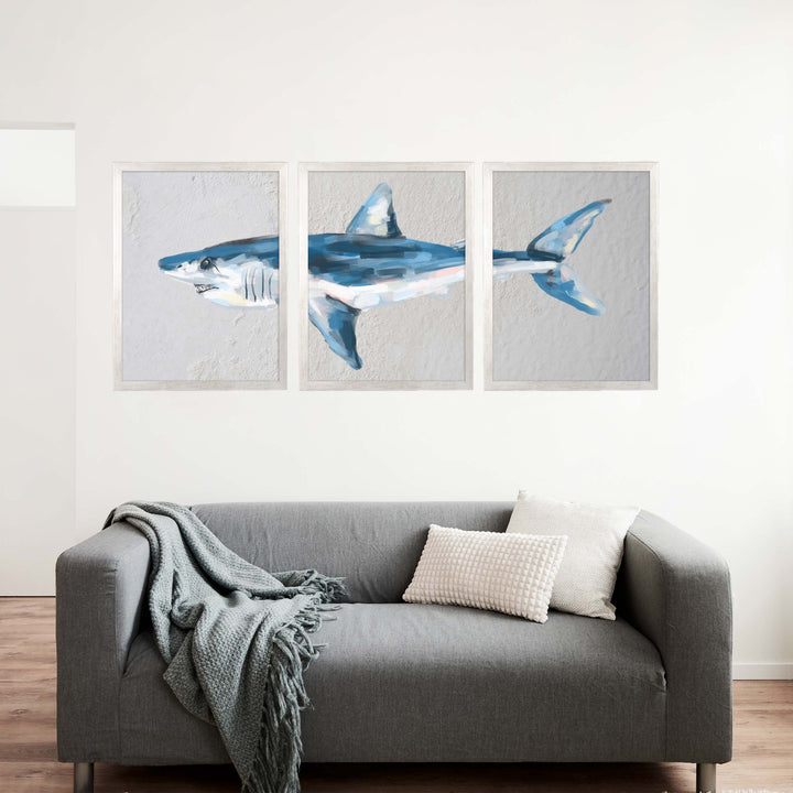 Mako Shark Triptych - Set of 3