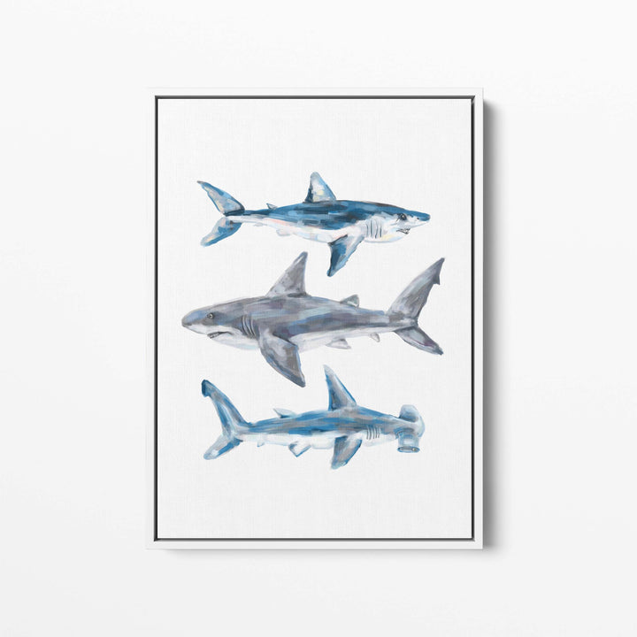 Great White, Mako + Hammerhead Shark