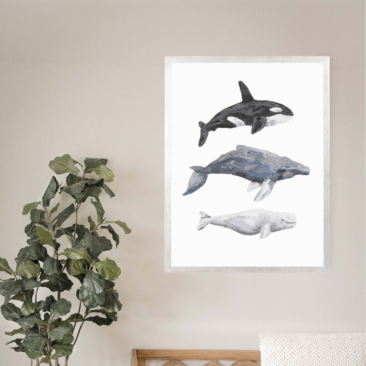 Whale Trio Watercolor