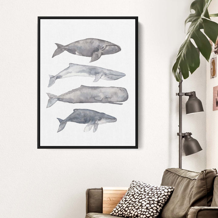 Sperm, Fin, Humpback & Right Whale Watercolor