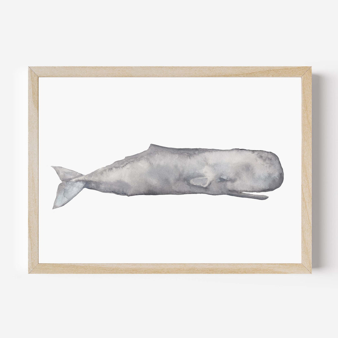 Watercolor Sperm Whale Painting