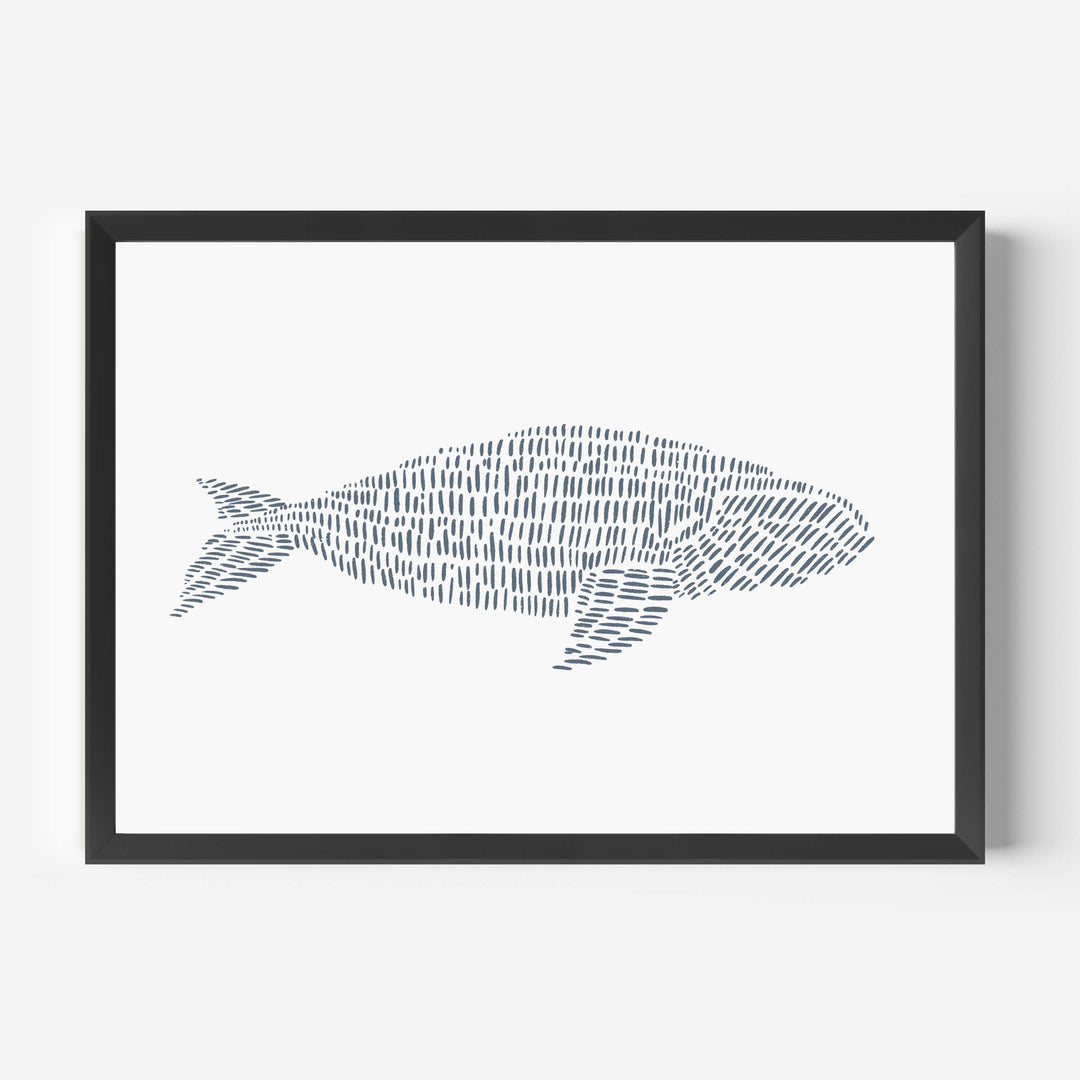 Right Whale Illustration