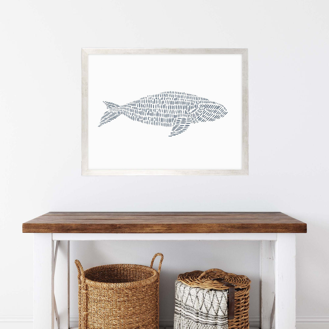 Right Whale Illustration