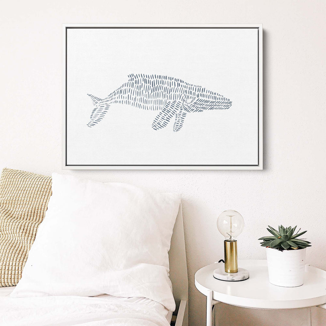 Humpback Whale Illustration