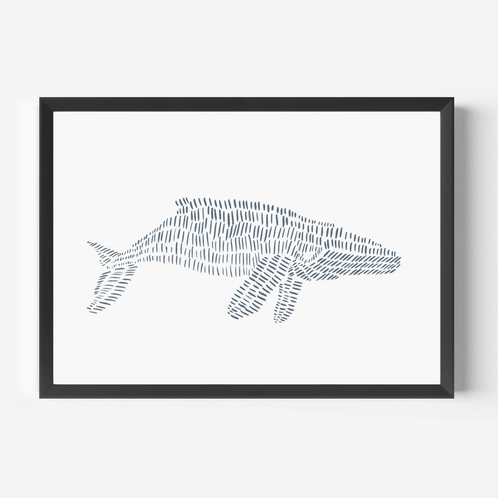 Humpback Whale Illustration