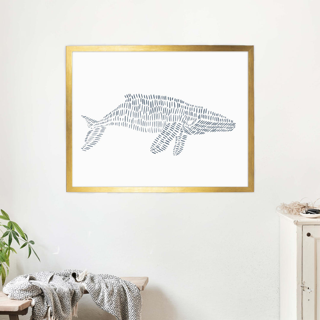 Humpback Whale Illustration