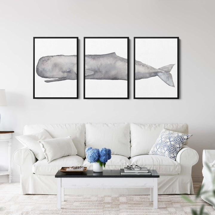 Sperm Whale Watercolor - Set of 3