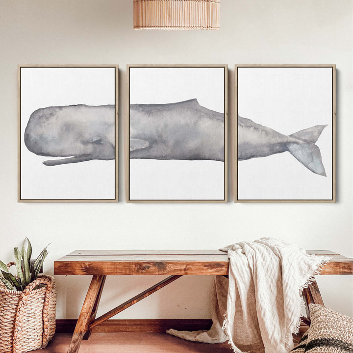 Sperm Whale Watercolor - Set of 3