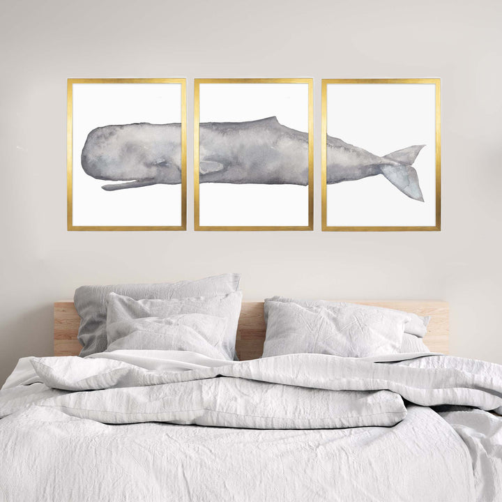 Sperm Whale Watercolor - Set of 3