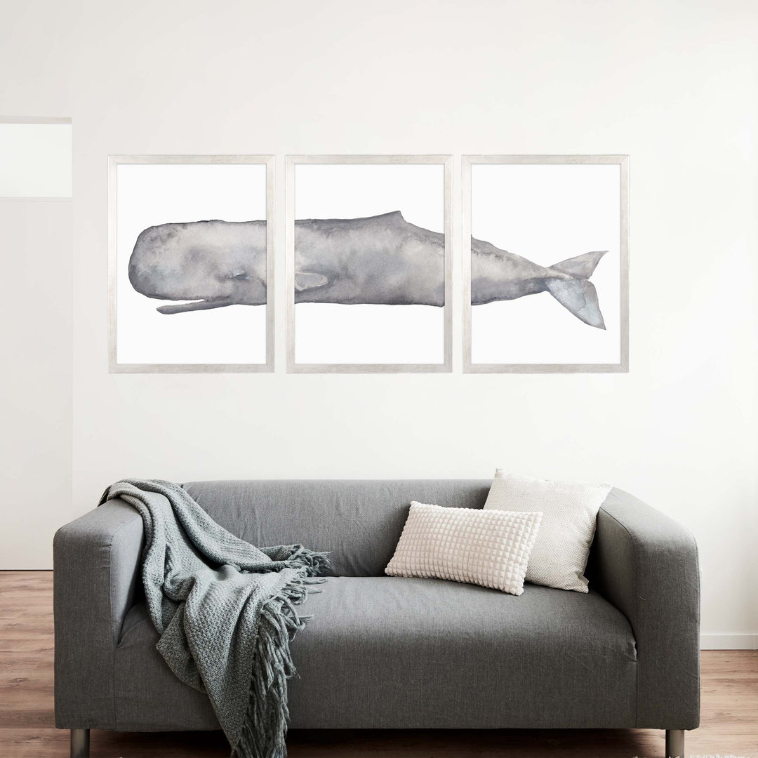 Sperm Whale Watercolor - Set of 3