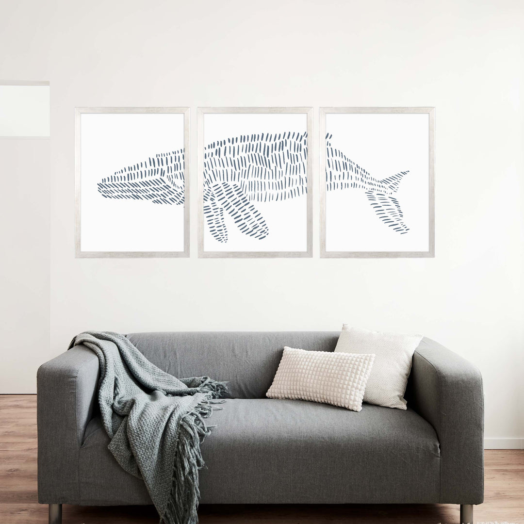 Humpback Whale Modern Illustration - Set of 3