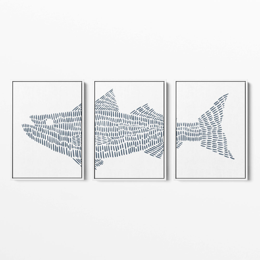 Striped Bass Fish Modern Illustration - Set of 3