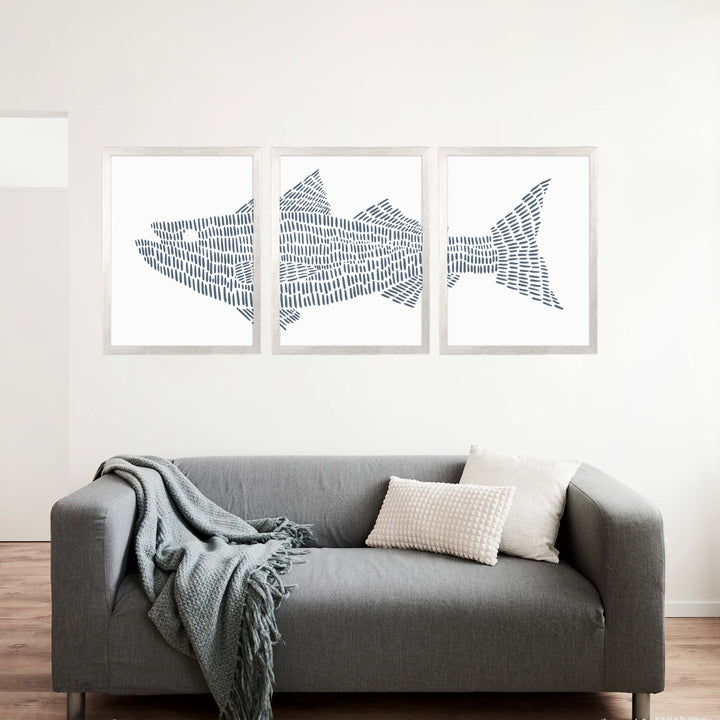 Striped Bass Fish Modern Illustration - Set of 3