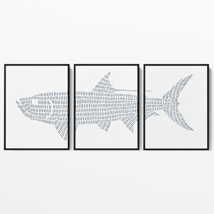 Tarpon Fish Illustration - Set of 3