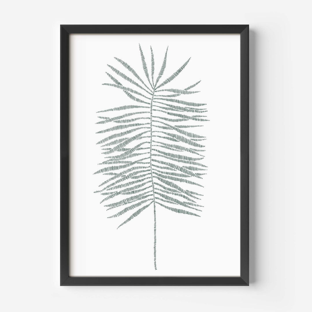 Palm Frond Leaf Study