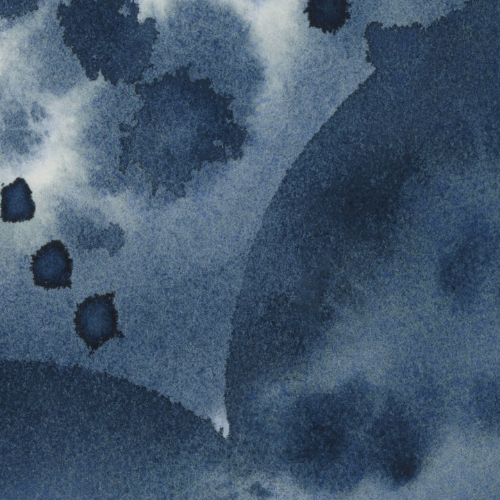 Coastal Forms Panoramic