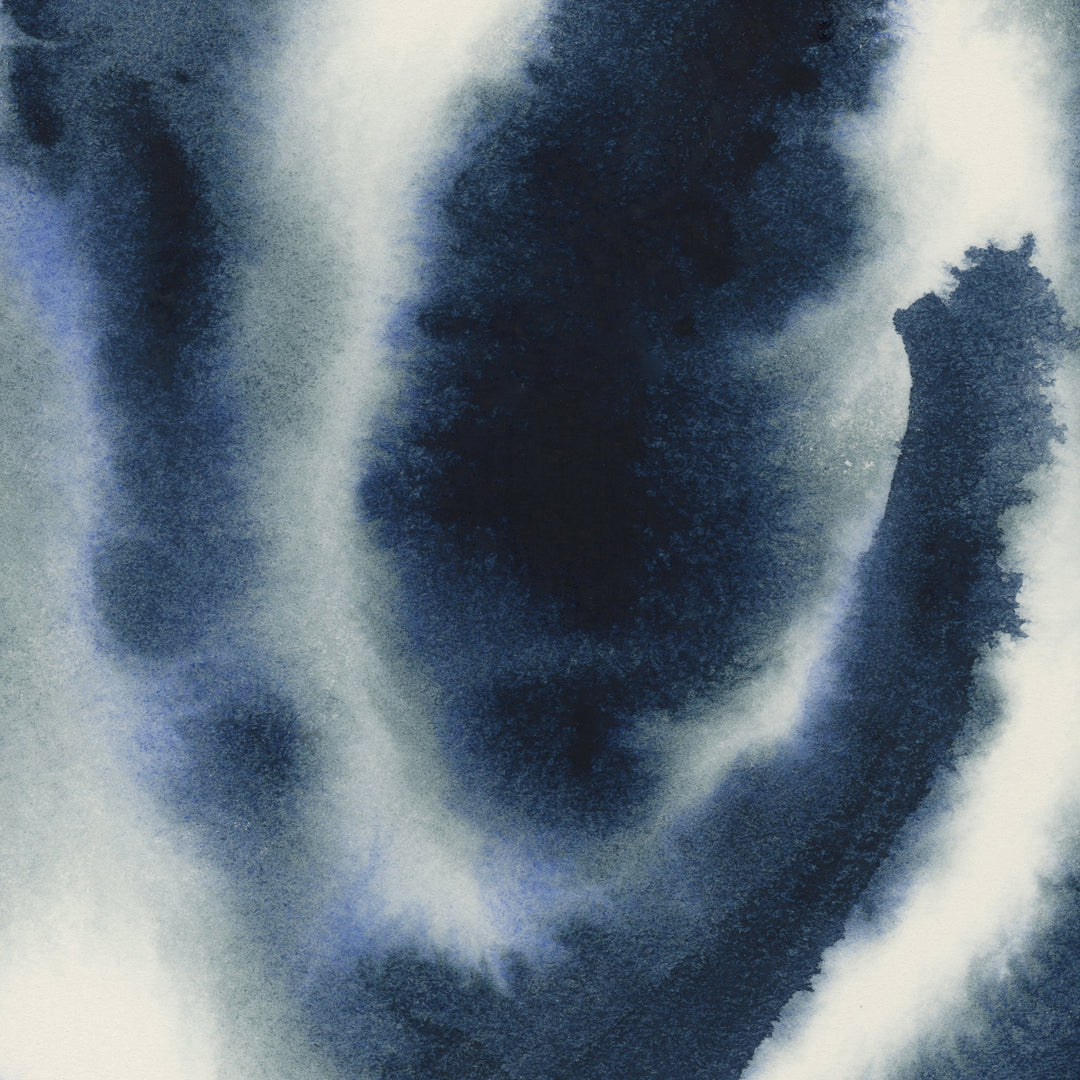 Indigo Seaweed Diptych, No. 1 - Set of 2