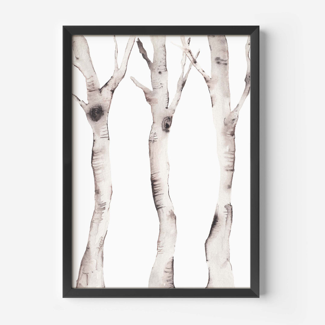 Watercolor Aspen Birch Tree