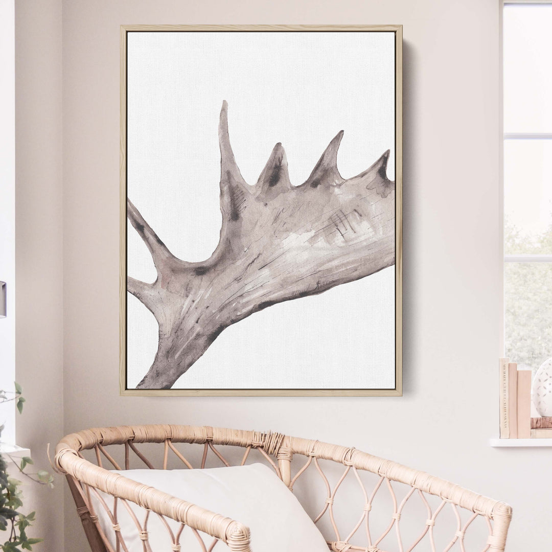 Rustic Moose Antler