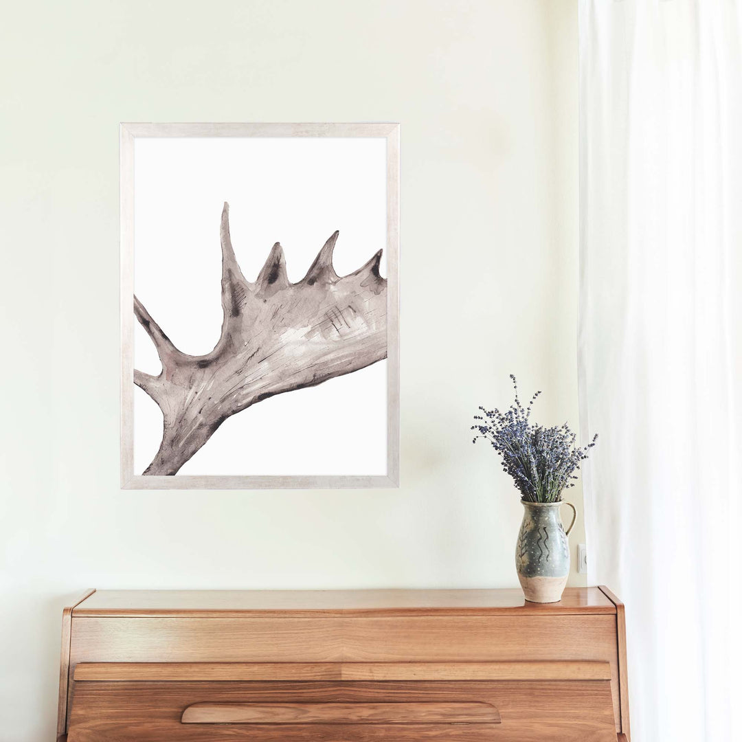 Rustic Moose Antler