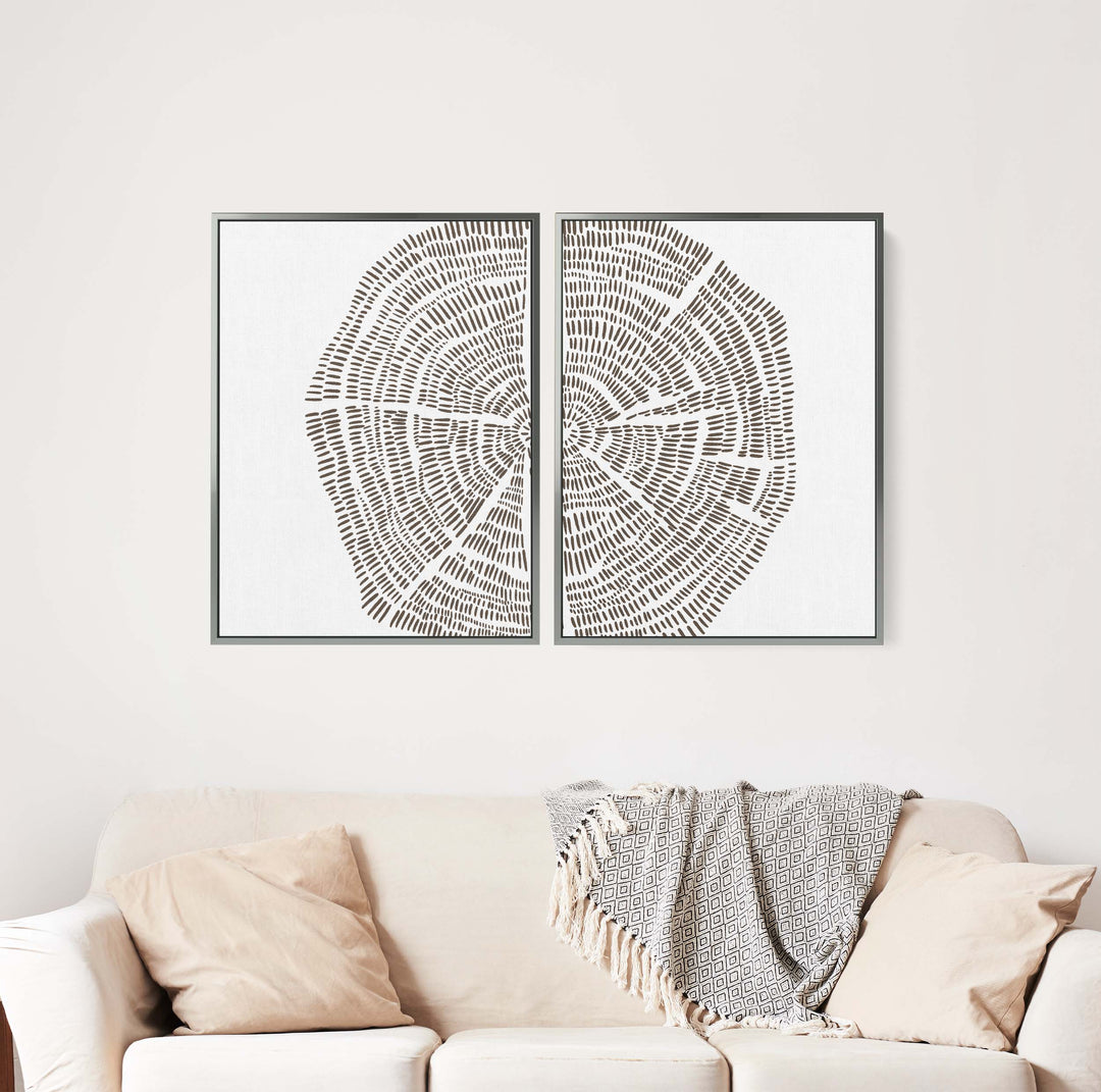 Tree Growth Rings Illustration - Set of 2