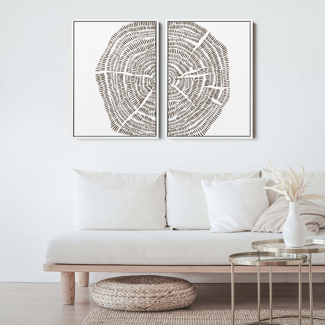 Tree Growth Rings Illustration - Set of 2