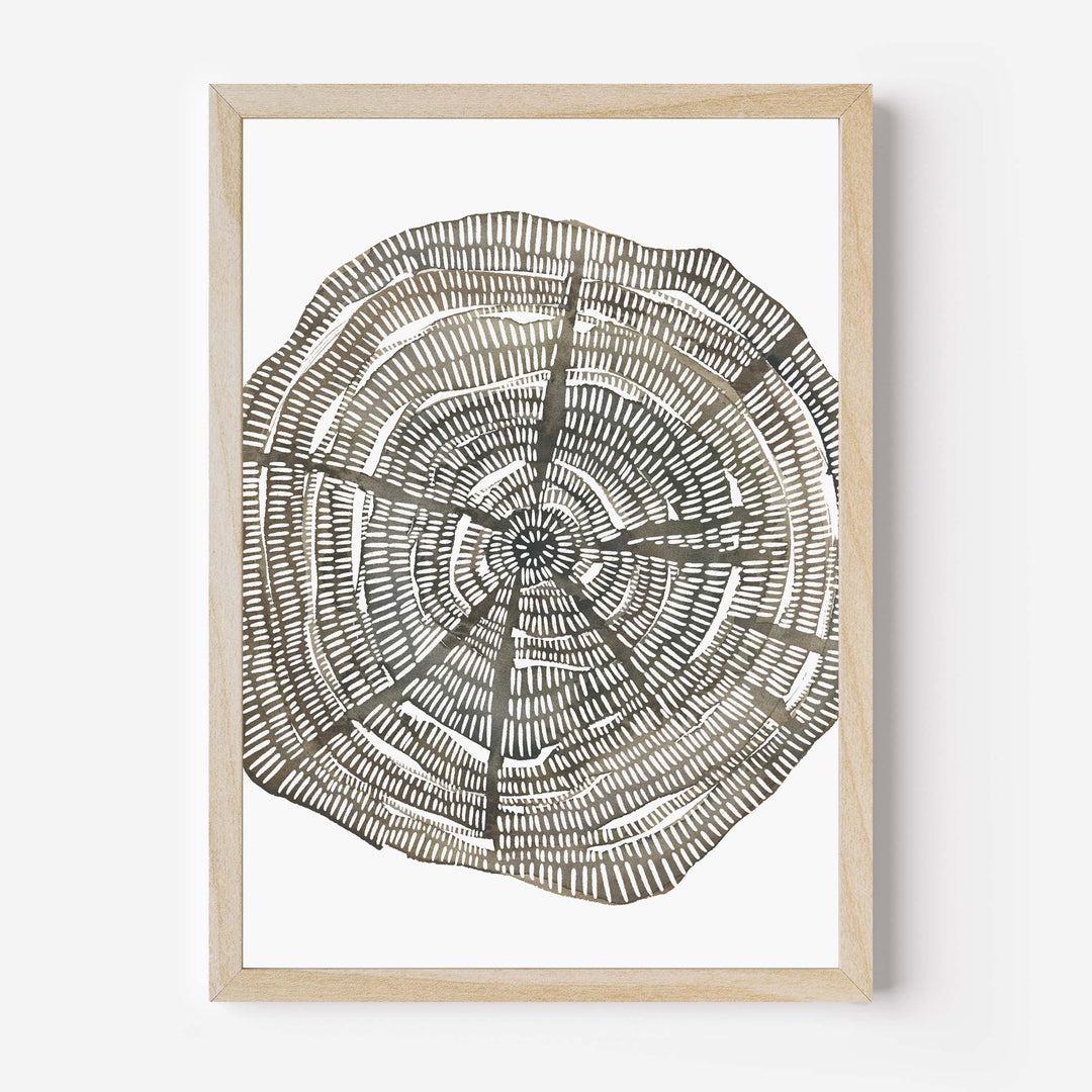 Tree Ring Watercolor, No. 1