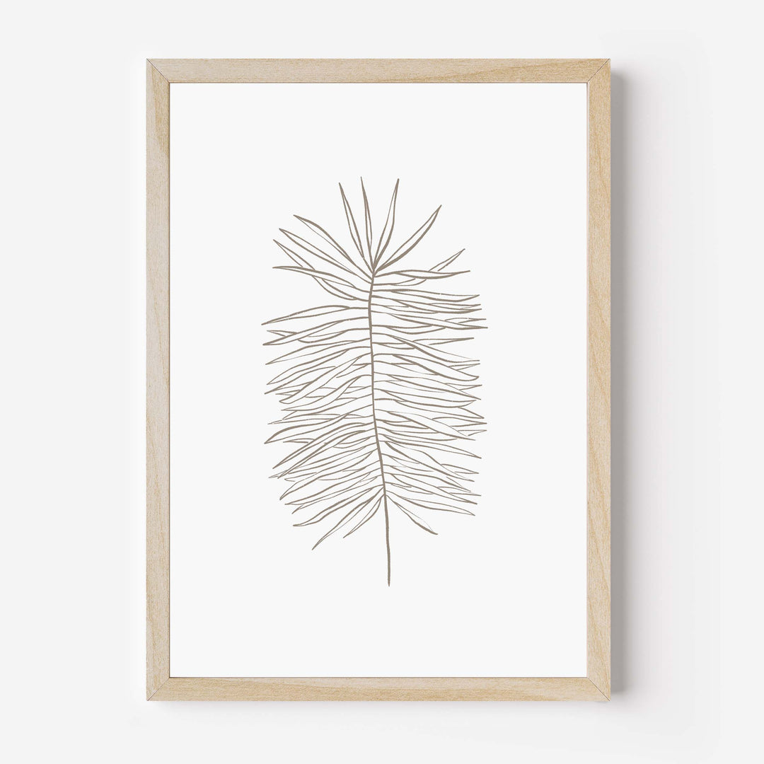 Palm Frond Line Drawing