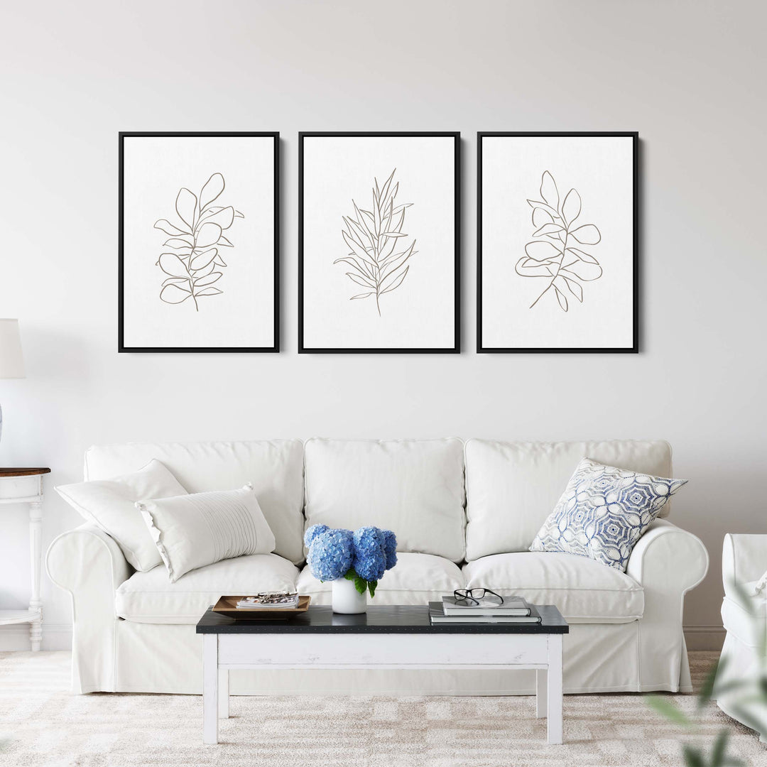 Eucalyptus Plant Illustrations - Set of 3