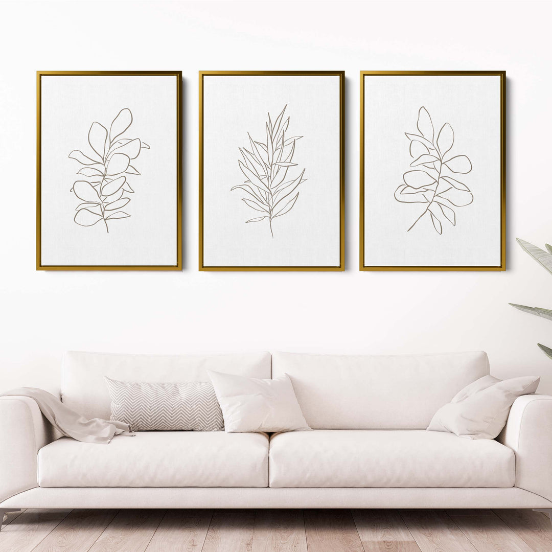 Eucalyptus Plant Illustrations - Set of 3