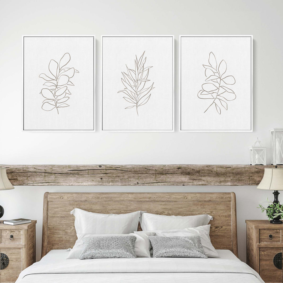 Eucalyptus Plant Illustrations - Set of 3