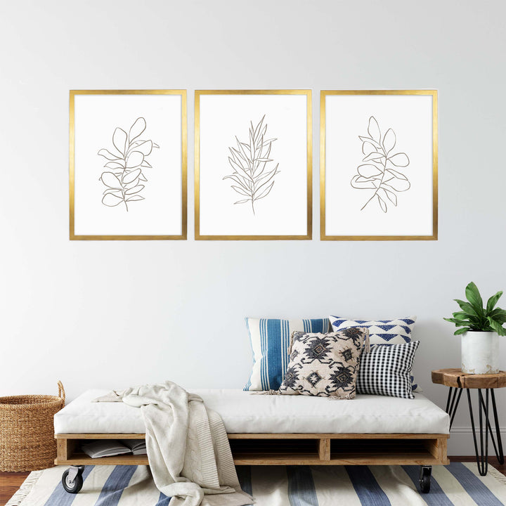 Eucalyptus Plant Illustrations - Set of 3